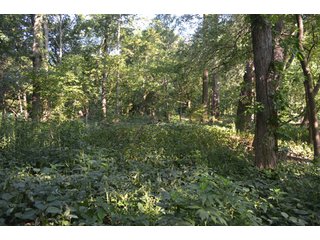 Property photo 50 - 64 Acre Farm Offered in 4 Tracts or in Combinations - Real Estate Auction